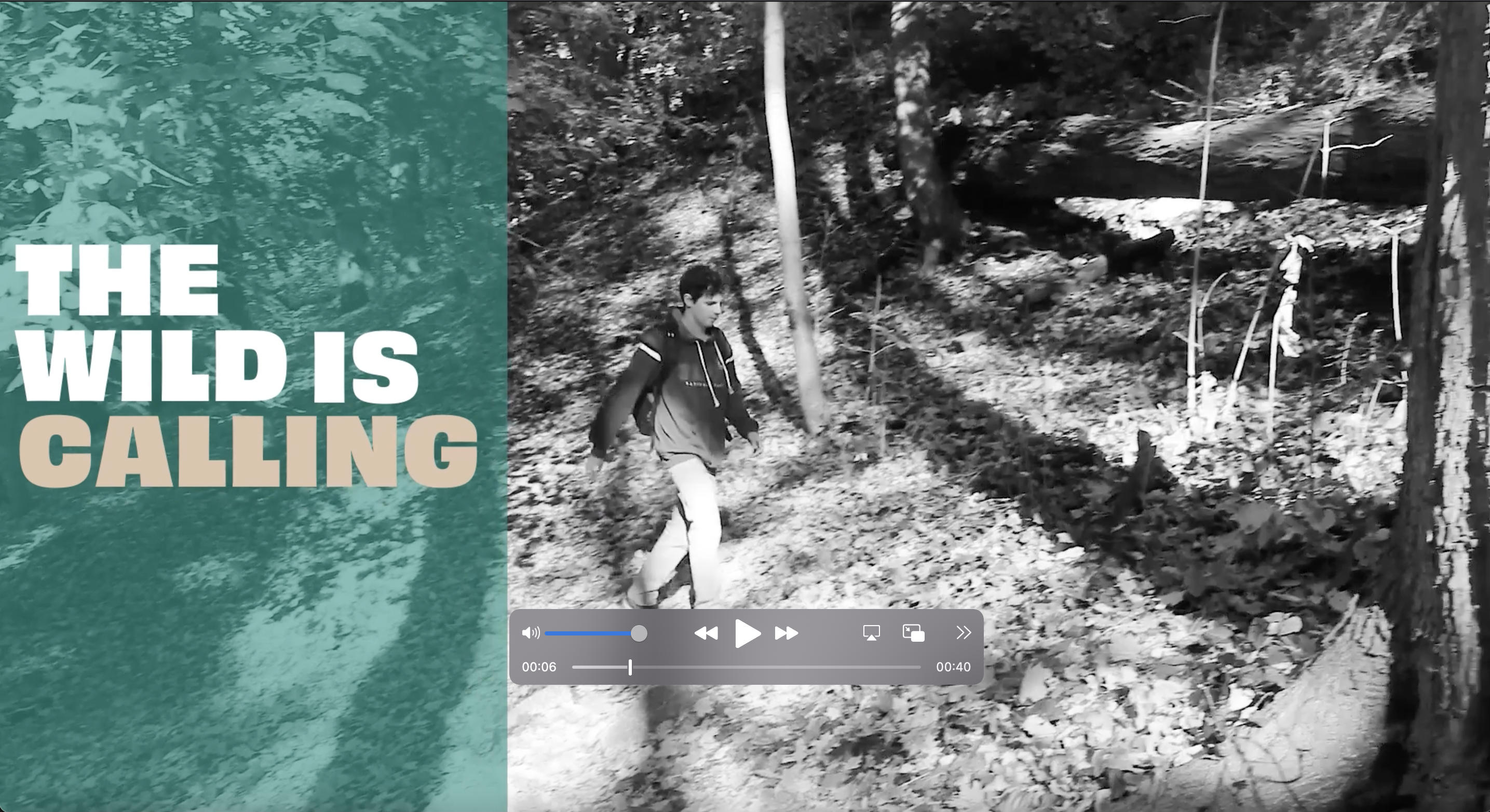 Your image description